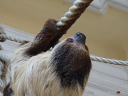 Tiergarten Schönbrunn am 23.03.2023